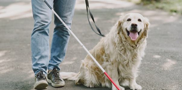 Незрячие самарцы теперь могут получать выплату ...