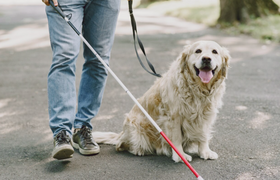 Незрячие самарцы теперь могут получать выплату ...
